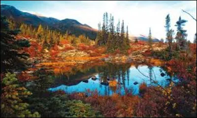 En quelle année les Russes découvrent-ils le delta du Yukon ?