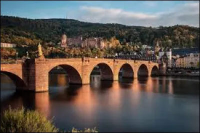 Cette ville est située sur les rives du Neckar. Trouvez la ville !