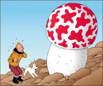 Dans un album d'Herg, Tintin part dans l'Arctique avec le capitaine Haddock. Il dbarque sur une le o poussent d'normes champignons et reoit une pomme gante sur le crne. Quel est cet album ?