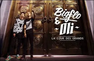 En quelle année est sorti leur premier album (La Cour des grands)