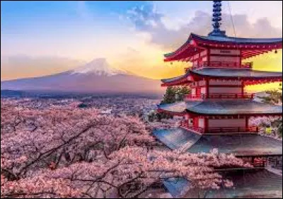 Le Japon se situe sur le continent asiatique.