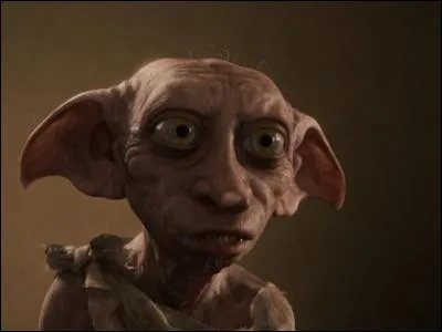 Qui est l'elfe de maison que Barty Croupton renvoie dans ''Harry Potter et la Coupe de feu'' ?