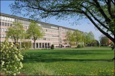 Dans le système éducatif français, à quel cycle correspond le lycée ?