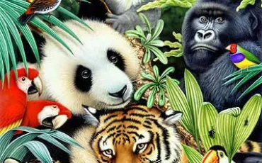 Quiz Animaux