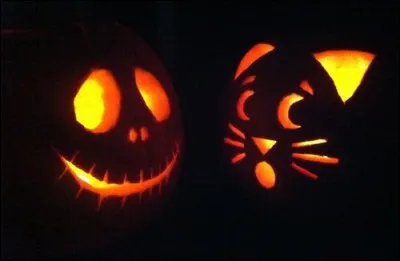 Où cette fête est-elle très populaire ?