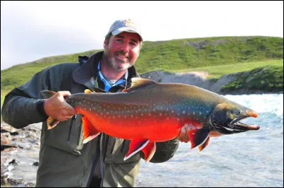Quelle longueur la grande rivière de l'Ours fait-elle ?