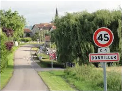 Nous sommes dans le Grand-Est à l'entrée de Bonviller. Village du Lunévillois, dans le Pays du Sânon, il se situe dans le département ...