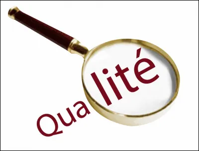 Laquelle de ces qualités te représente le plus ?