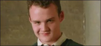 Quelle est la maison de Gregory Goyle ?