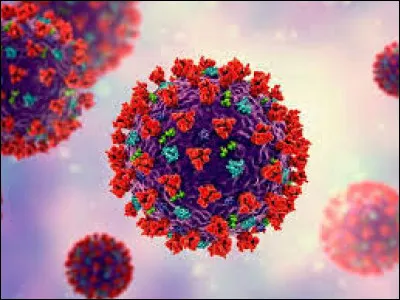 Quelle est la phrase en anglais qui veut dire : le virus se propage dans la ville de paris et il faut se confiner pour sauver la vie des autres parisiens ?