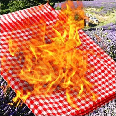 Quelle association fond&eacute;e en 1970 a &eacute;dit&eacute; un journal appel&eacute; "Le Torchon br&ucirc;le" ?