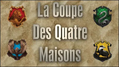 Pour le Tournoi des Trois Sorciers, tu :