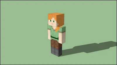Qui est ce héros de Minecraft ?