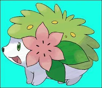 Quel est le nom de ce pokemon ?