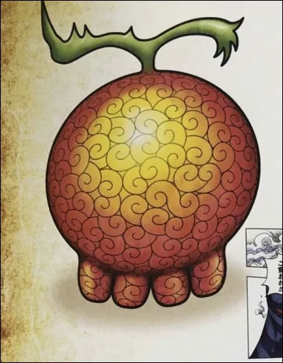 Ce fruit est, comme d'habitude, de type Paramecia. Vous le voyez à l'image, c'est :