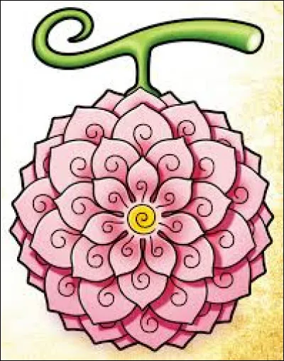 Je suis un fruit de type Paramecia et j'ai été mangé par Robin. Qui suis-je ?