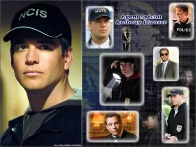 Dans la srie NCIS, quelle est la spcialit de Tony ?