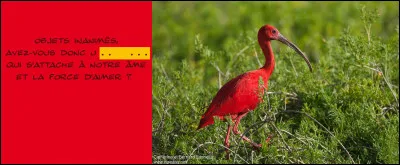 Un peu de poésie dans ce monde de brutes !