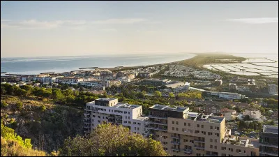 En France, quel est le nombre approximatif de chiens ?