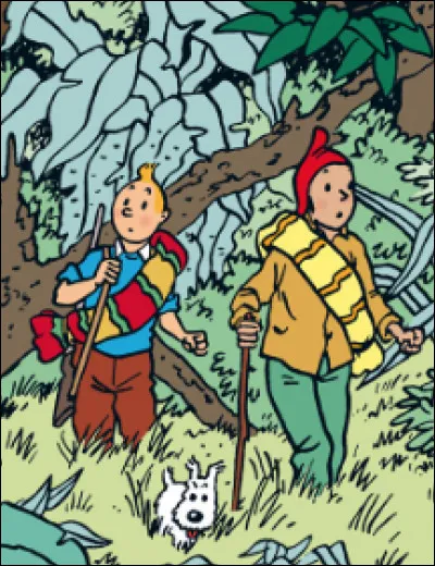 Qui est ce jeune indien quechua qui emmène Tintin vers le Temple du Soleil, dernier refuge de la civilisation inca ?