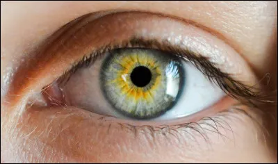 Maintenant, fais confiance au hasard. 

Clique sur une des images sans regarder.