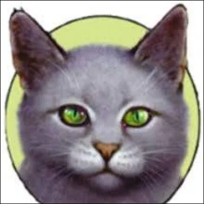 Quel est ce personnage ?