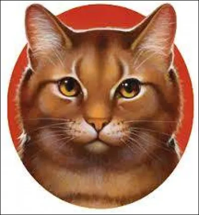 Quel est ce personnage ?