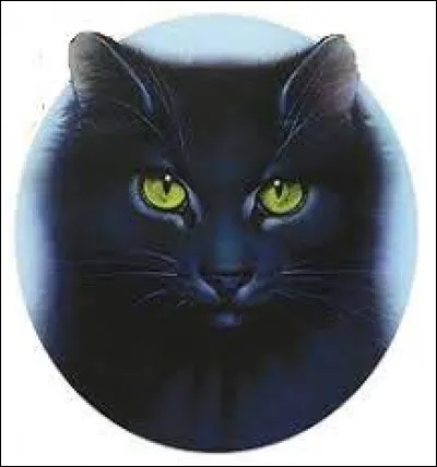 Quel est ce personnage ?