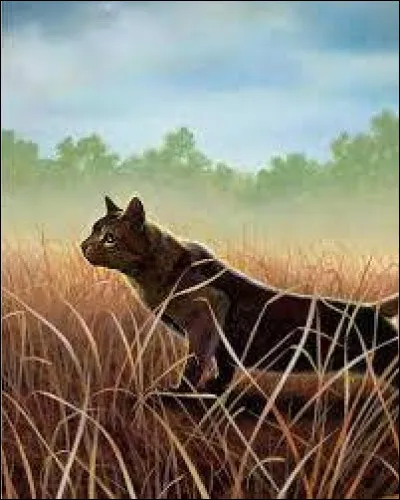 Quel est ce personnage ?