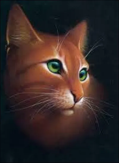 Quel est ce personnage ?