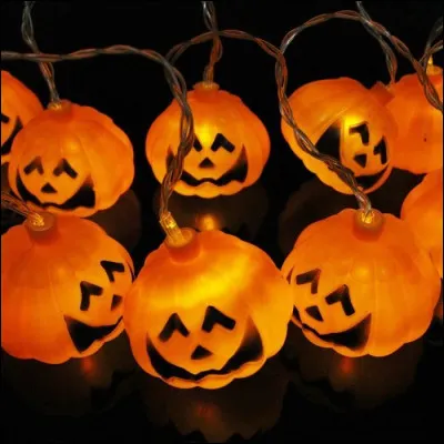 Qu'y a-t-il sur l'image qui servira à entourer la maison ?