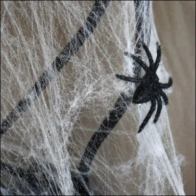 L'araignée sur la toile, c'est une vraie ?