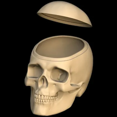 Sur l'image, c'est une boîte de bonbons en forme de crâne :