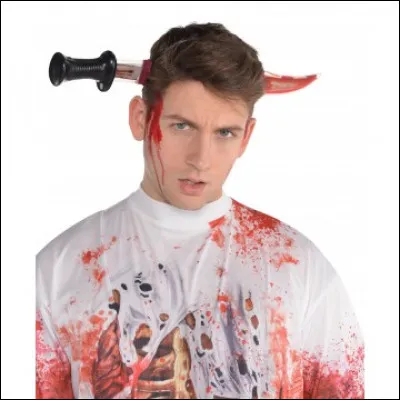 Comment s'appelle l'objet qui traverse la tête de la personne ?