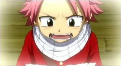 Qui est le meilleur ami de Natsu ?