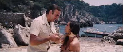 D'après l'image, de quel film s'agit-il ?