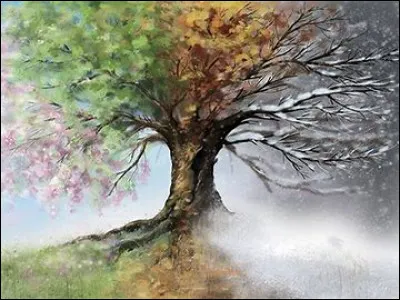 Quelle est ta saison préférée ?