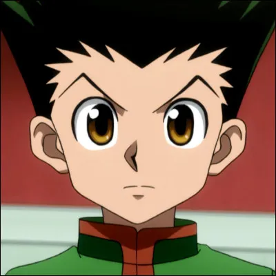Quelle est la date d'anniversaire de Gon ?