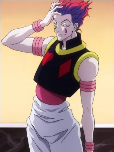 Que signifie le nom "hisoka" ?