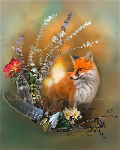 Le renard est surtout...