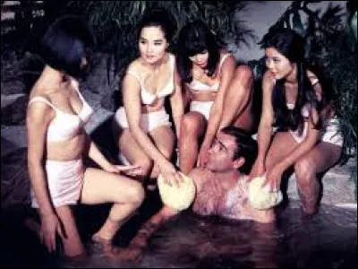 Quel est le titre de ce film ?