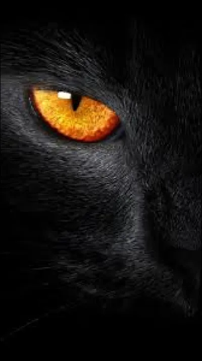 Qui a dit : "Vis comme si tu devais mourir demain. Apprends comme si tu devais vivre toujours" ?