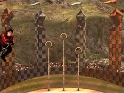 Aimes-tu le quidditch ?