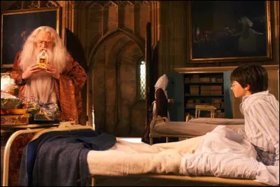Finalement tu r&eacute;ussis &agrave; prendre la pierre philosophale, tu vaincs Quirrell, tu te retrouves dans l'infirmerie avec Albus Dumbledore et tes amis t'ont envoy&eacute; plein de cadeaux pour ton exploit. Qu'est-ce ?
