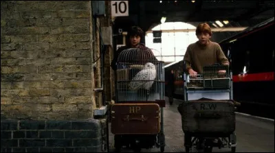 Sur le chemin King's Cross &agrave; ta maison de quoi parles-tu ?