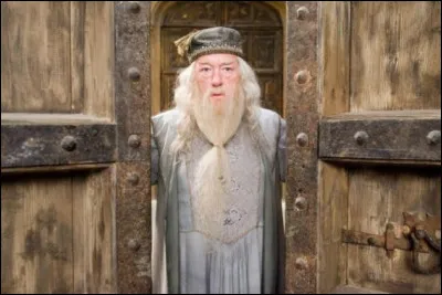 Il vous r&eacute;pond qu'il est Albus Dumbledore et qu'il voudrait parler &agrave; vos parents au sujet de la lettre qu'il &agrave; envoy&eacute; par hibou. Que r&eacute;pondez-vous ?