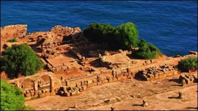 Lequel est le drapeau de l'Algérie ?