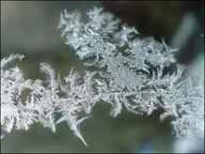 Quand il fait froid, les vitres sont recouvertes de...