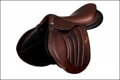 Comment s'appelle la partie où l'on met les pieds ?