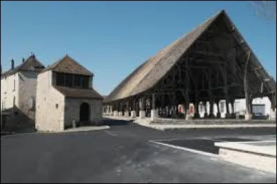 Je vous emmène en Île-de-France découvrir les halles de Méréville. Ville et ancienne commune de la Grande Couronne, elle se situe dans le département ...